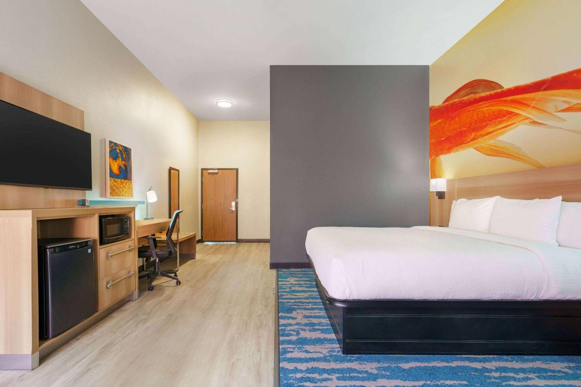 La Quinta Inn & Suites By Wyndham San Antonio Seaworld Lafb ภายนอก รูปภาพ